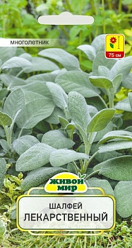 Шалфей лекарственный Sativa 0,3г (Беларусь)