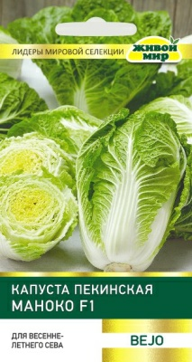 Капуста пекинская Маноко F1 Bejo Zaden (Беларусь)