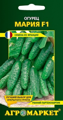 Огурец Мария F1, 10 шт (Франция)