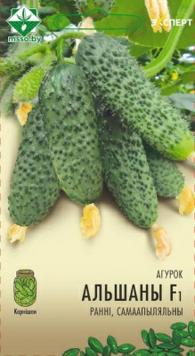 Огурец Альшаны F1 Эксперт (Нидерланды)