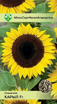 Подсолнечник Корил F1 5г (Польша)