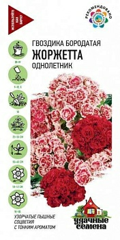 Гвоздика бородатая турецкая Жоржетта махровая смесь 0,1г (Россия)