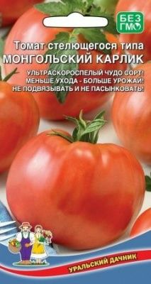 Томат Монгольский Карлик стелющегося типа (УД) 20шт (Россия)