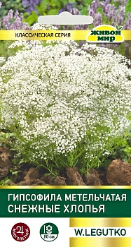 Гипсофила метельчатая Снежные хлопья W. Legutko (Беларусь)