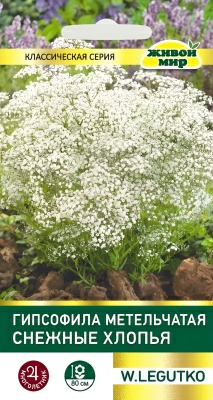 Гипсофила метельчатая Снежные хлопья W. Legutko (Беларусь)