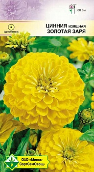 Цинния изящная Георгиноцветная Золотая заря 0.5г (Венгрия)