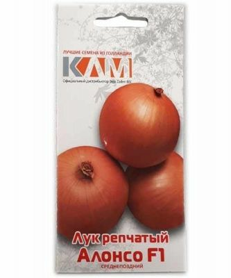 Лук Алонсо F1 0,5гр (Нидерланды)