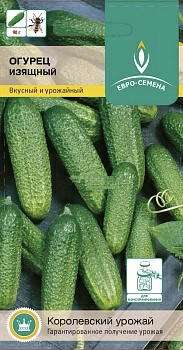 Огурец Изящный 0,5гр пчелоопыляемый (Россия)