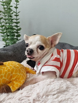 Лежанка для животных МАТЕХ PET  LUX 50х40х15 темно-серый, бежевый (Беларусь)