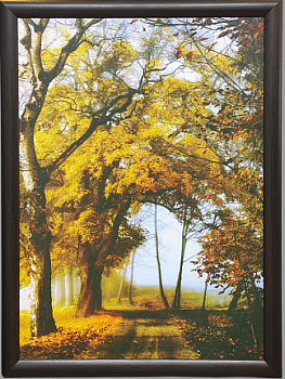 Репродукция 50/70 (1) арт д (Беларусь)