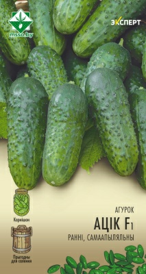 Огурец Атик F1 Эксперт (Нидерланды)