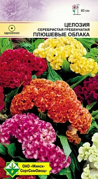 Целозия гребенчатая Плюшевые облака см 0.2г (Беларусь)