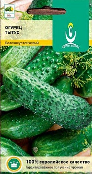 Огурец Тытус F1 среднеранний пчелоопыляемый корнишенного типа (Польша)