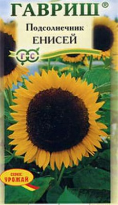 Подсолнечник Енисей 10г (Россия)
