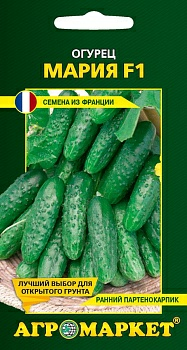 Огурец Мария F1, 10 шт (Франция)