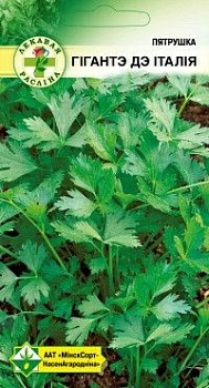 Петрушка Гиганте де Италия, 2г (Беларусь)