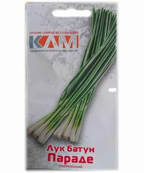 Лyк бaтyн Пapaдe 1г (Нидерланды)