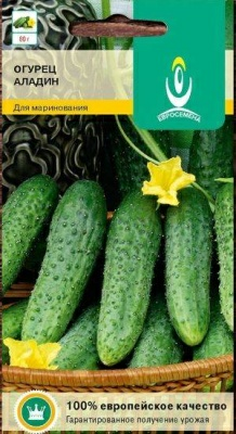 Огурец Аладин F1 среднеранний пчелоопыляемый (Россия)