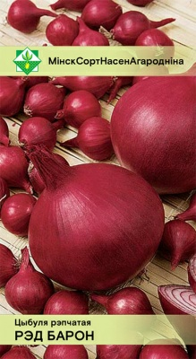 Лук Ред Барон (Нидерланды)