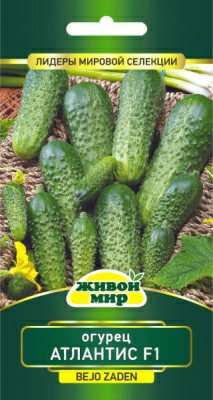 Огурец Атлантис F1 Bejo Zaden (Беларусь)