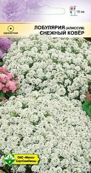 Лобулярия морская, Снежный ковер 0.2г(Беларусь)