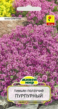 Тимьян ползучий Пурпурный W. Legutko 0,1 г (Беларусь)