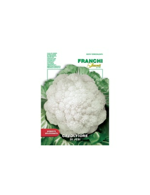 Капуста цветная ди Джесси семена Franchi (Россия) Капуста цветная ди Джесси семена Franchi (Россия)