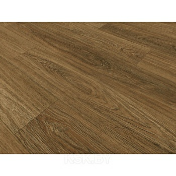 Дуб летний SPC 2209 (Россия) в Борисове