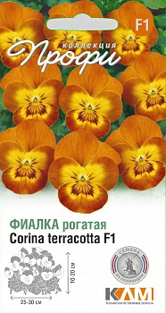 Фиалка рогатая Корина Терракотта F1 10 шт (Нидерланды)