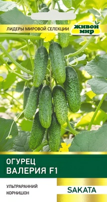 Огурец Валерия F1 Sakata (Беларусь)
