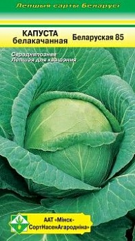 Капуста Белорусская 85 б/к, 0.5г (Беларусь)