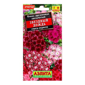 Флокс Зведный дождь (Россия)