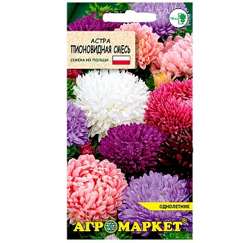 Астра Калина пионовидная 0,2г (Беларусь)
