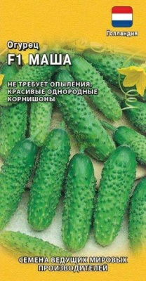 Огурец Маша F1 корнишон (Россия)