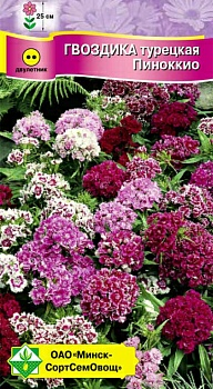 Гвоздика турецкая Пиноккио см 0.3г (Беларусь)