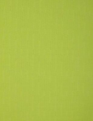 Штора рулонная 56(52)*160 СРШ-01МЭ-2653 (Беларусь)