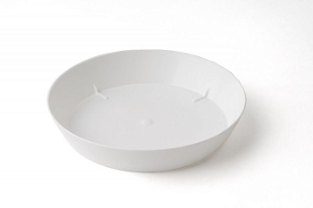 Поддонник (Россия) Поддонник (Россия)