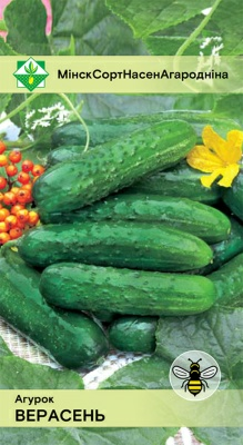 Огурец Верасень 0.6г (Молдова)