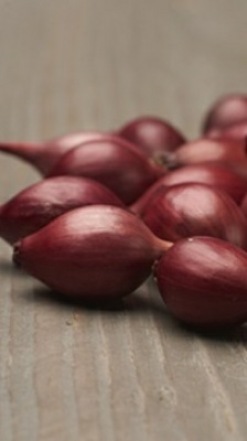 Лук севок Ред Барон 10-17мм 0.5кг (Нидерланды)