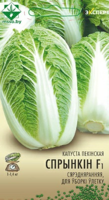 Капуста пекинская Спринкин F1 Эксперт (Нидерланды)
