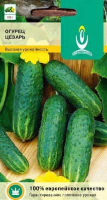 Огурец Цезарь F1 раннеспелый пчелоопыляемый высокоурожайный (Польша)