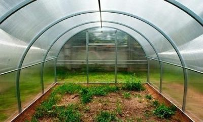 Каркас теплицы Садовод Элит-40 (4х3х2м) 0,8мм (Беларусь)