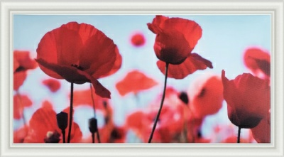 Репродукция 50/100 (1) мдф ш 8С0405 (Беларусь)