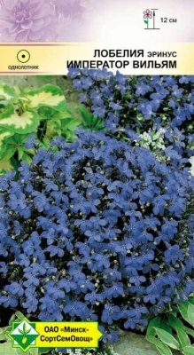 Лобелия эринус Император Вильям 0.05г (Германия)