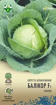 Капуста б/к Боликор F1 Эксперт (Беларусь)