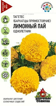 Бархатцы прямостоячие Лимонный пай Тагетес 0,1г  (Россия)