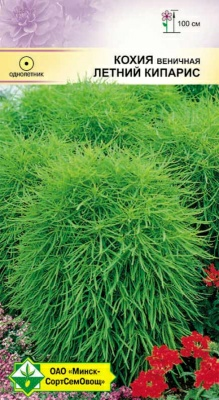 Кохия веничная Летний кипарис 0.5г (Беларусь)