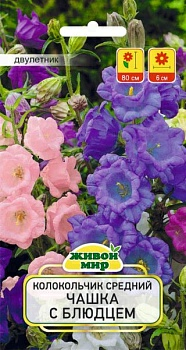 Колокольчик средний Чашка с блюдцем W. Legutko 0,2 г (Россия)