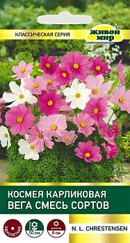 Космея Вега карликовая смесь W. Legutko 1 г (Беларусь)