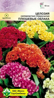 Целозия гребенчатая Плюшевые облака см 0.2г (Беларусь)